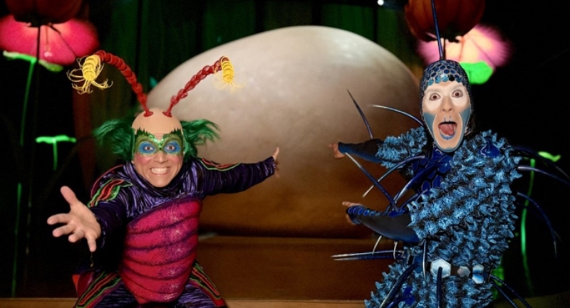 az-ovo-by-cirque-du-soleil-a-tojas-vilagnapjat-unnepli.jpg