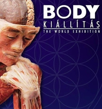 body-kiallitas-harmadik.jpg