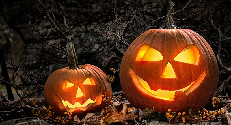halloweeni-programokkal-varja-a-latogatokat-a-fovarosi-allatkert-oktober-28-an-este.jpg