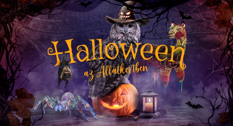 Halloweeni programokkal várják a látogatókat a Fővárosi Állatkertben péntek este