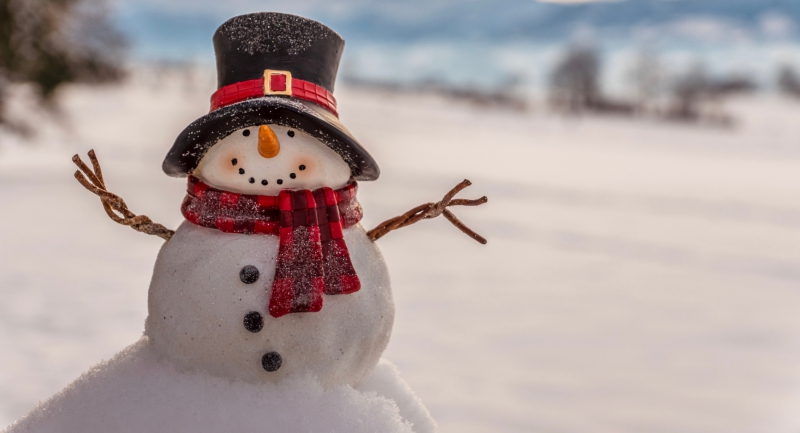 Hóember- és hóállatépítő versenyt rendeznek a Budakeszi Vadasparknál