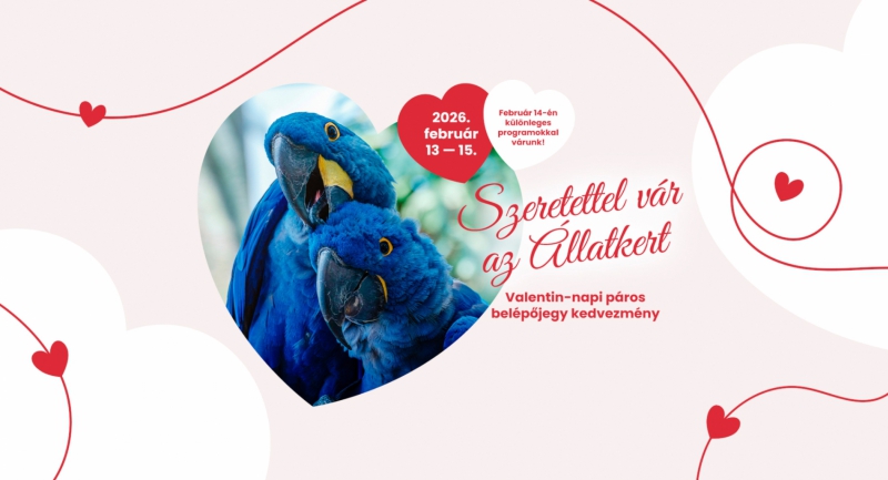 Valentin-nap - Programok és kedvezmények a Fővárosi Állatkertben