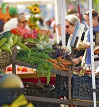 vegan-vasarnap-harmadik.jpg